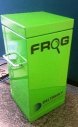 frog01